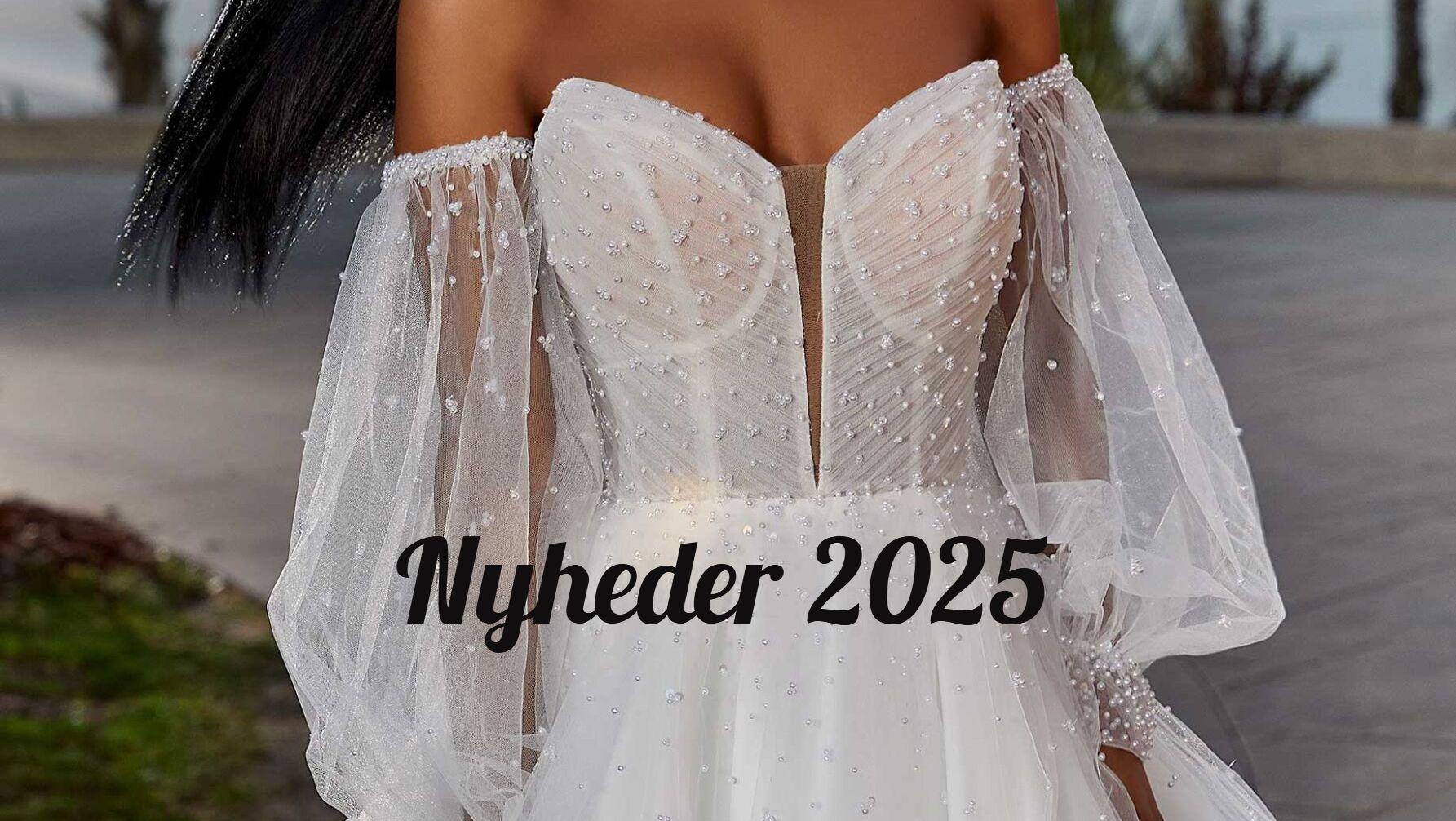 2025 nyheder